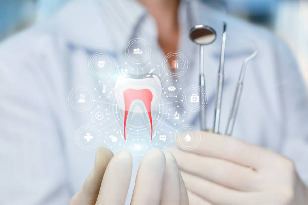 Best Full Mouth Reconstruction  in Cedar Grove, WI